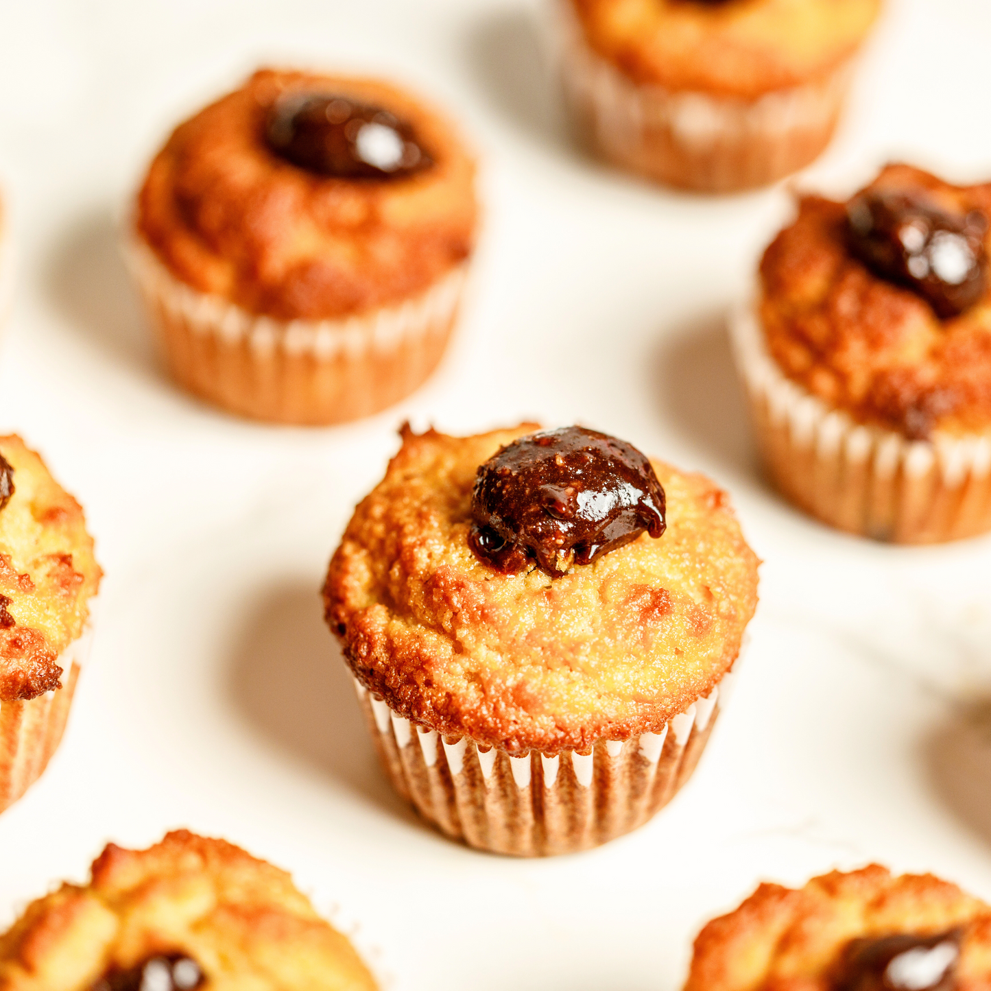 Dozen Chocolate Mini Muffins